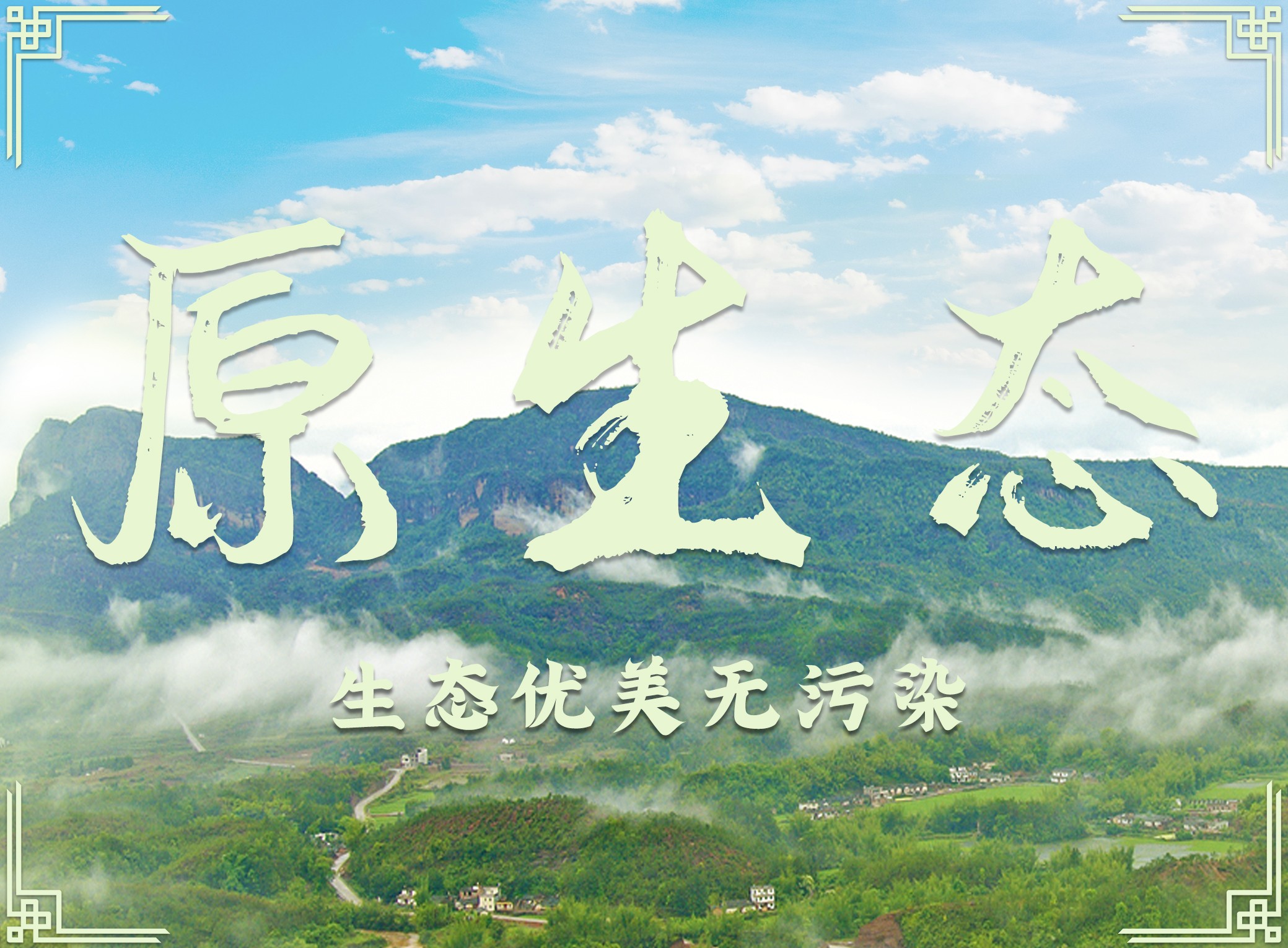 廣東南臺(tái)控股股份有限公司