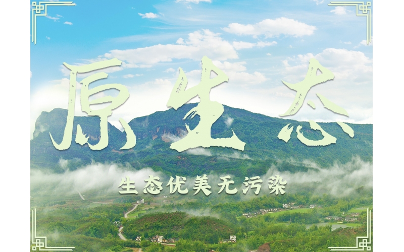 百業(yè)待興！為何白酒行業(yè)如此堅挺？南臺酒業(yè)為你揭秘